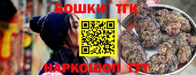 индика Абакан