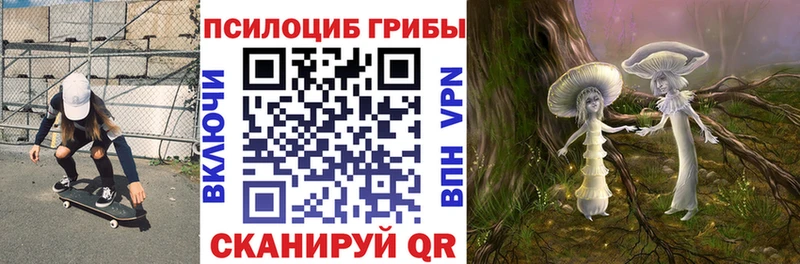 продажа наркотиков  omg онион  Галлюциногенные грибы GOLDEN TEACHER  Абакан 