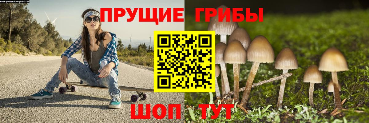 наркотики  Вход с VPN  Абакан  Псилоцибиновые грибы MAGIC MUSHROOMS 