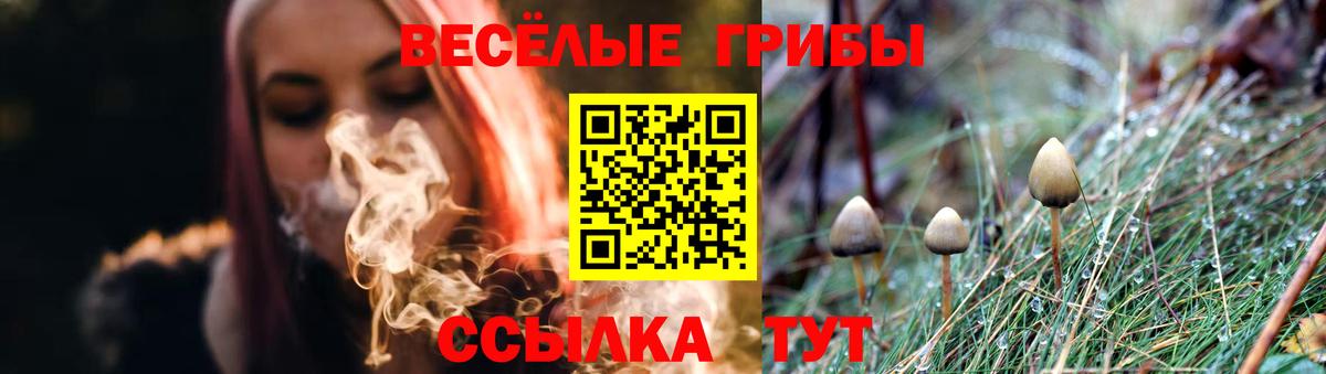 Галлюциногенные грибы ЛСД Абакан