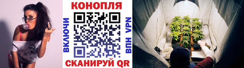 Бошки Шишки VHQ Абакан